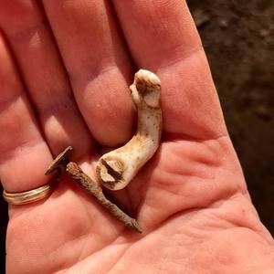 Meet your Posher, Leeanna